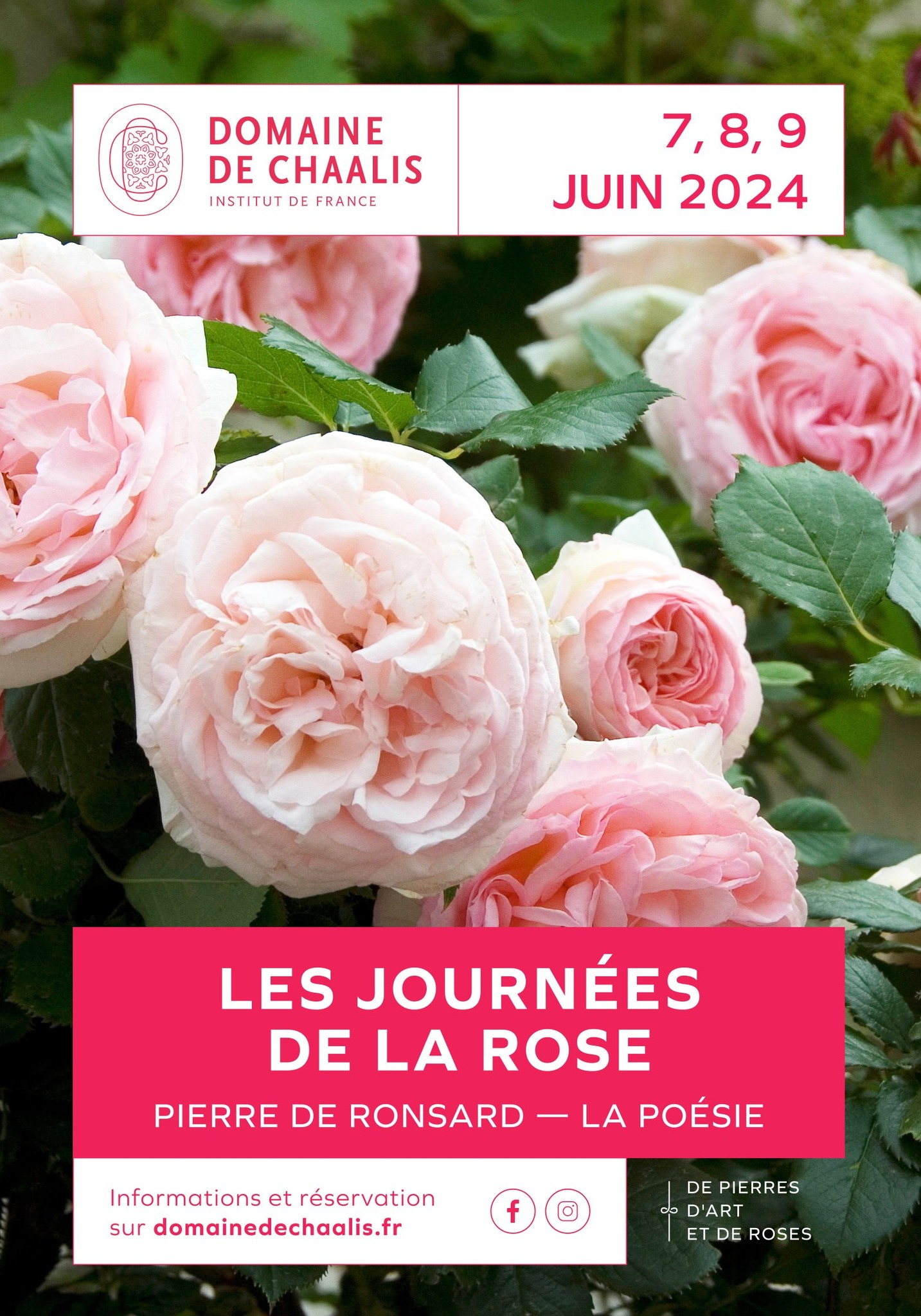 20240607 Journées de la rose à Chaalis (60) du 7 au 9 juin 2024